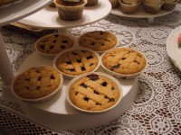 /album/galleria-fotografica/dscf4490-jpg1/