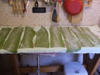 /album/galleria-fotografica/dscf4605-jpg1/