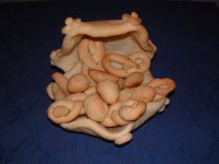 /album/galleria-fotografica/dscf8109-jpg1/