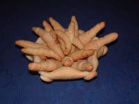 /album/galleria-fotografica/dscf8117-jpg1/