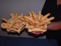 /album/galleria-fotografica/dscf8136-jpg1/