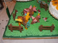 /album/galleria-fotografica/dscf4984-jpg/