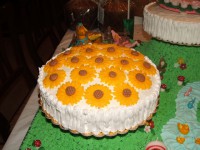 /album/galleria-fotografica/dscf4985-jpg/