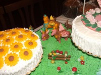 /album/galleria-fotografica/dscf4989-jpg/